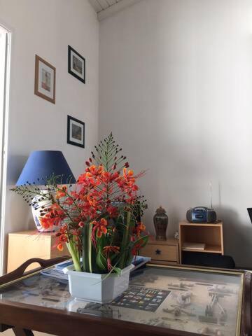 Ravissant Duplex A Saint Francois Apartman Kültér fotó